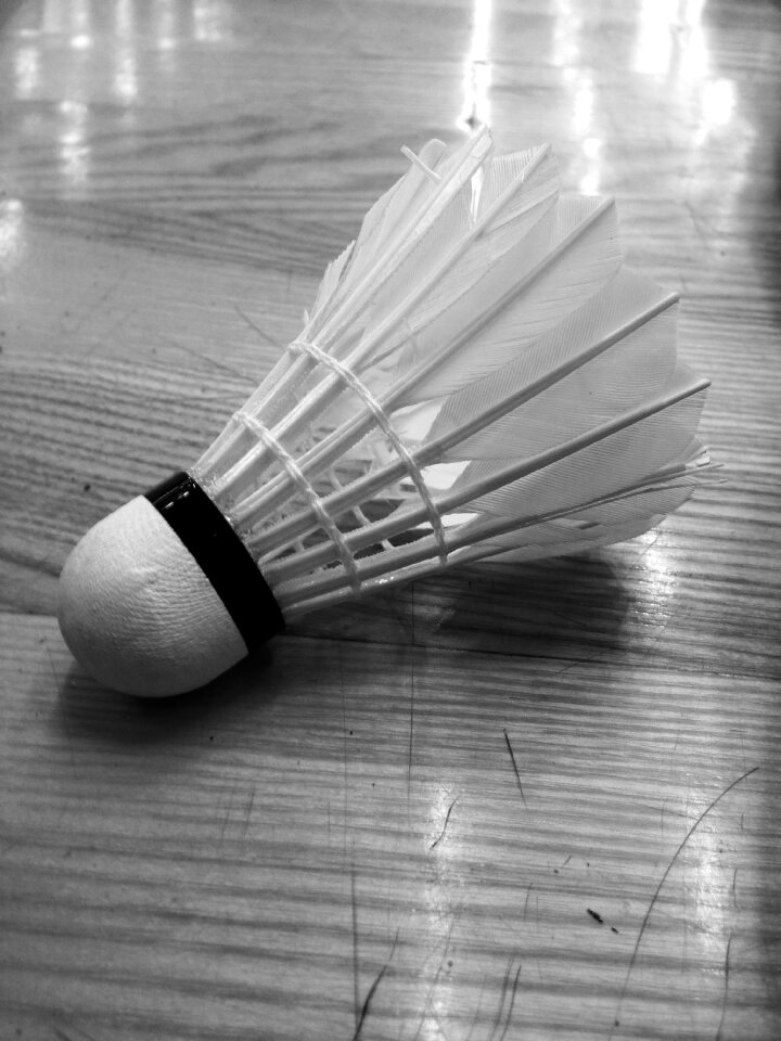 Ball shutlecock sport