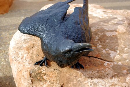 Bird raven bronze