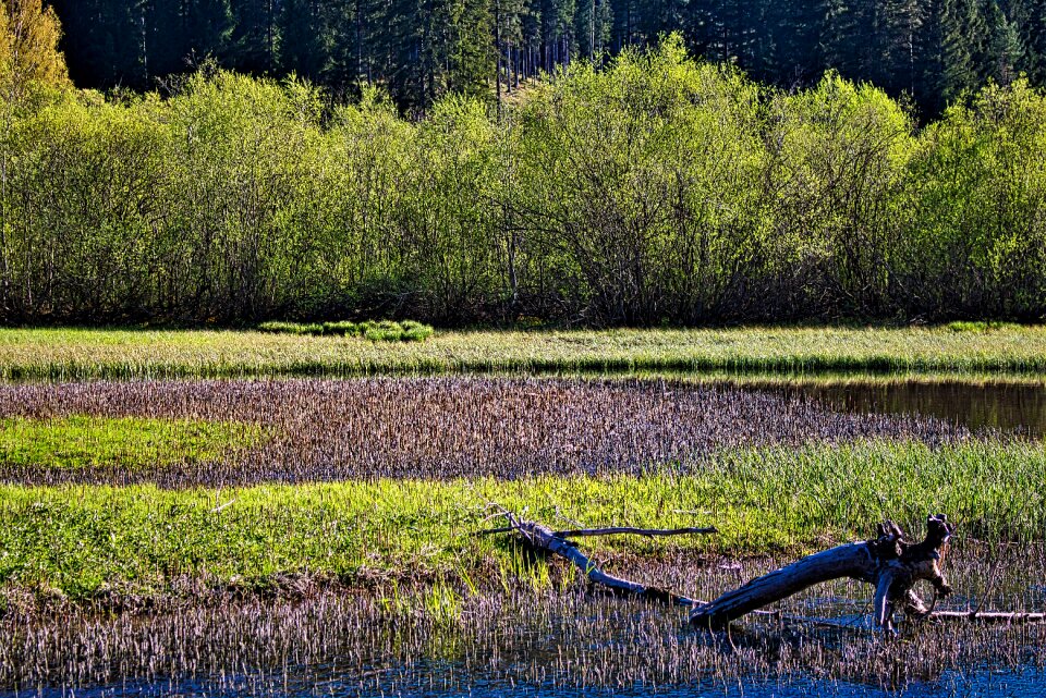 Nature landscape rest