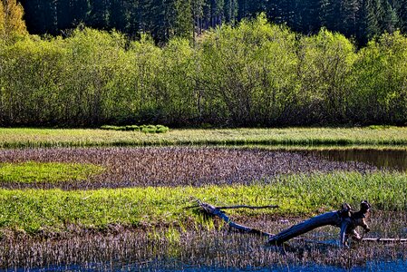 Nature landscape rest