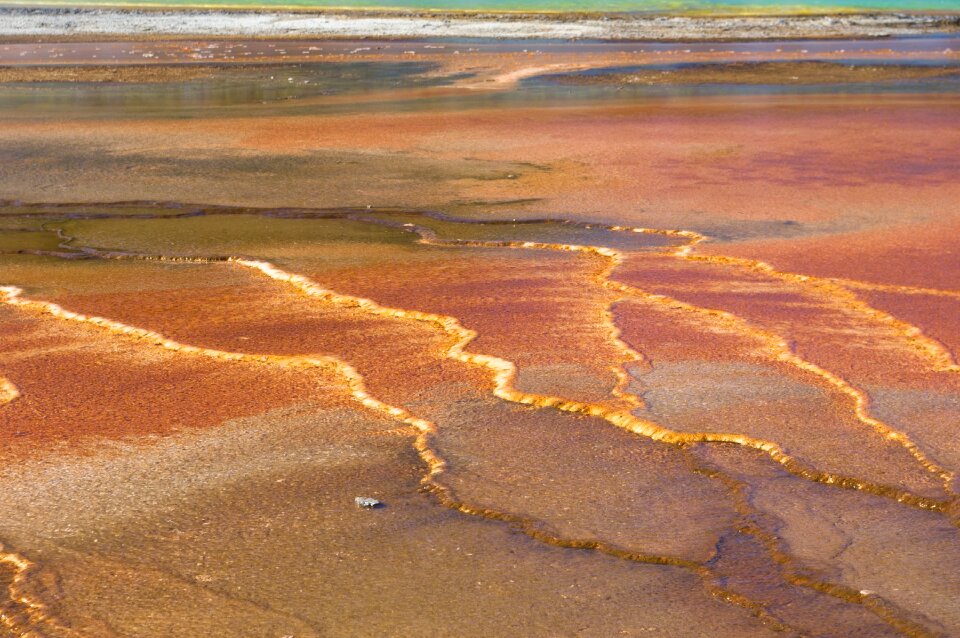 Spring geothermal nature