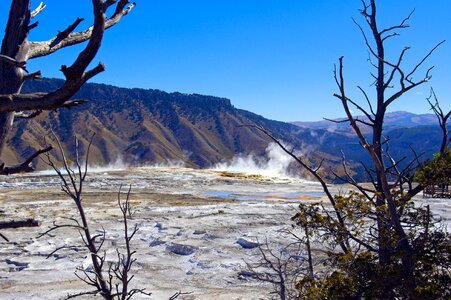 Thermal yellowstone national photo