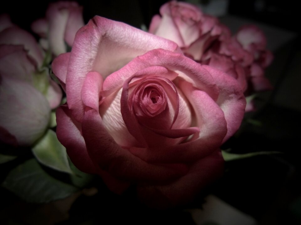 Romance bouquet valentine
