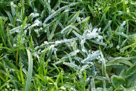 Ice ice crystals cold