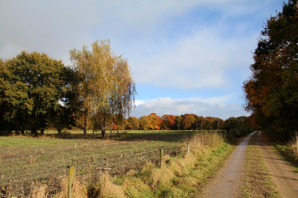 Veluwe nature fall colors