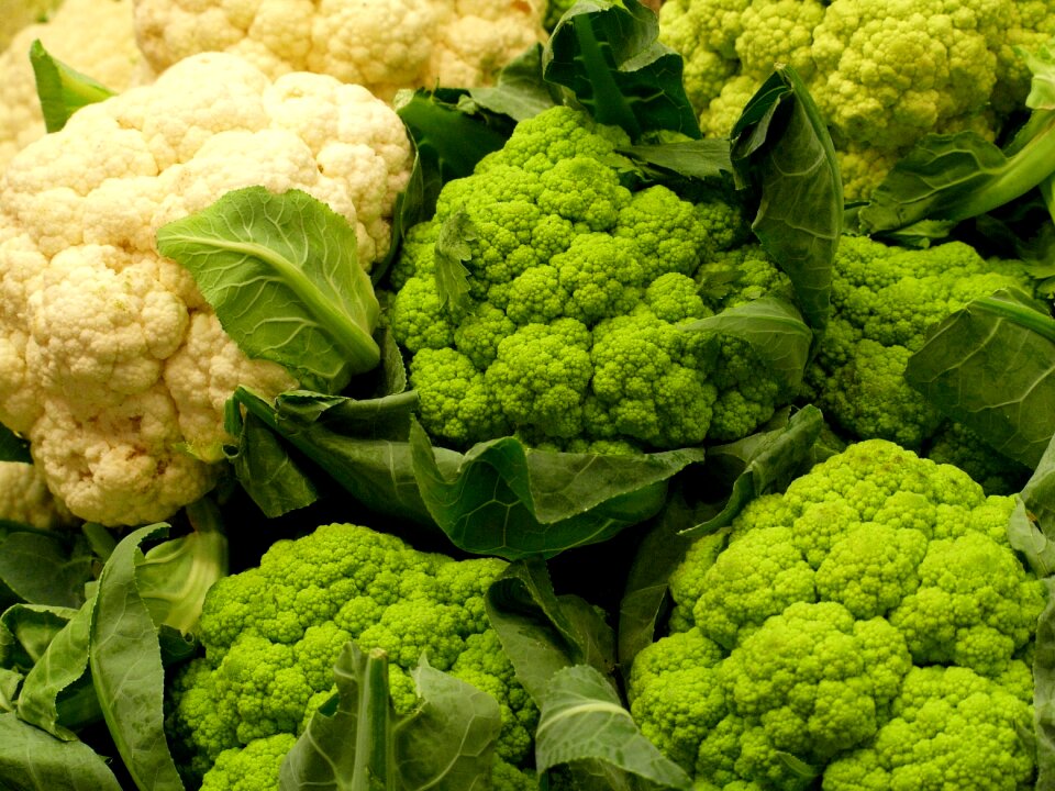 Food green alimentari
