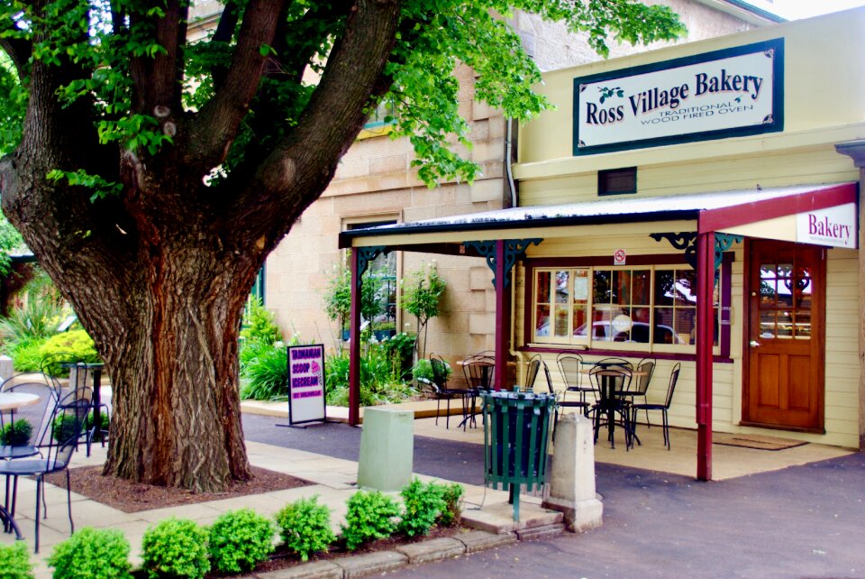 Vintage architecture building