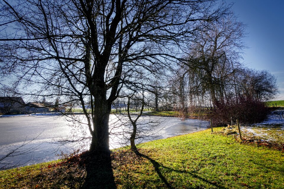 Frozen nature landscape