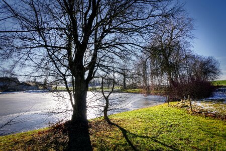 Frozen nature landscape