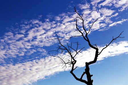 Sky clouds nature