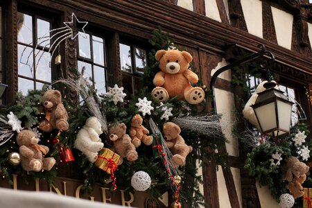 Bear cut decorate