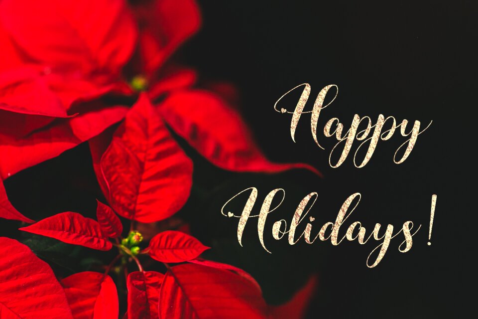 Happy holidays happy celebration