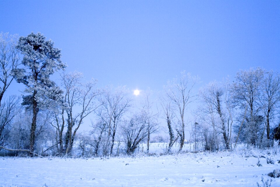 Snow cold nature