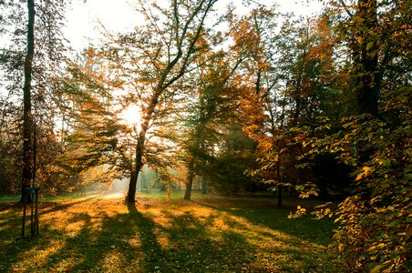 Mood park atmosphere photo