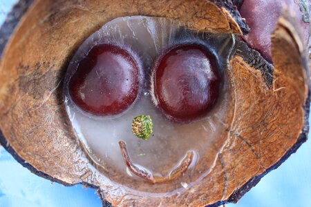 Face fun cheerful