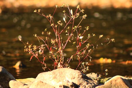 Water stones landscape
