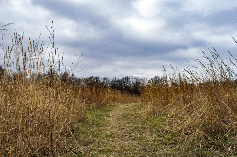 Path trail nature trail