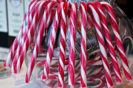 Holiday decoration winter