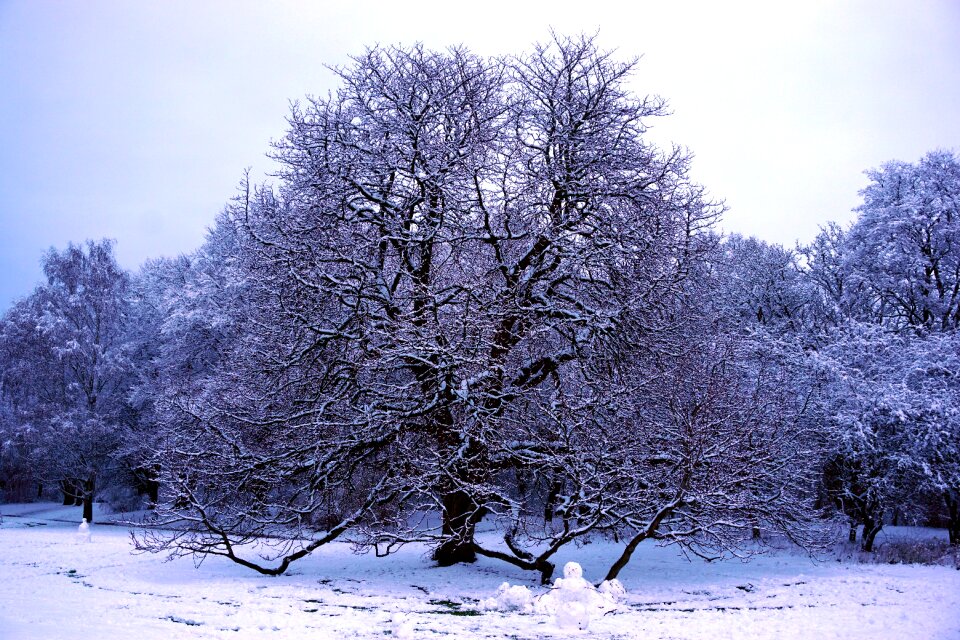 Outdoor skåne christmas