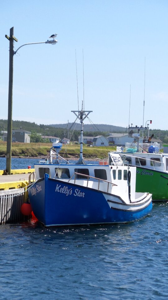 Harbour vessel dock