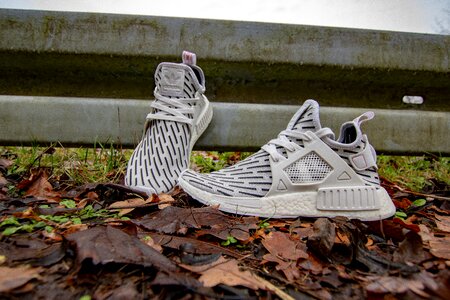 White sneaker forest photo