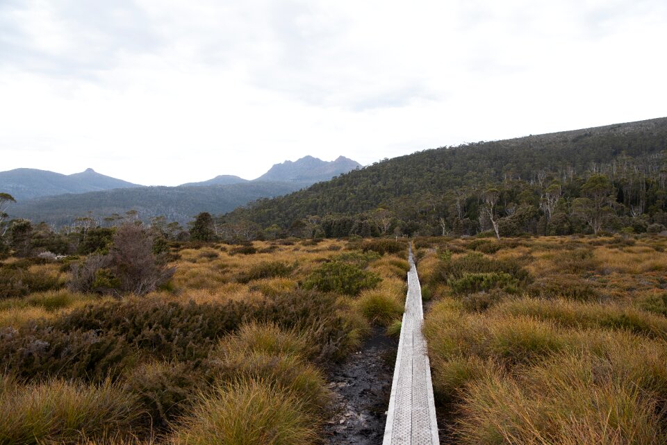 Landscape nature wilderness
