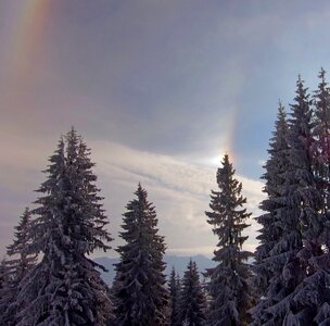Nature snowy idyllic
