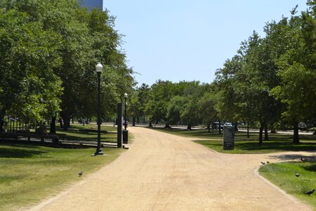 Nature scenic outdoors