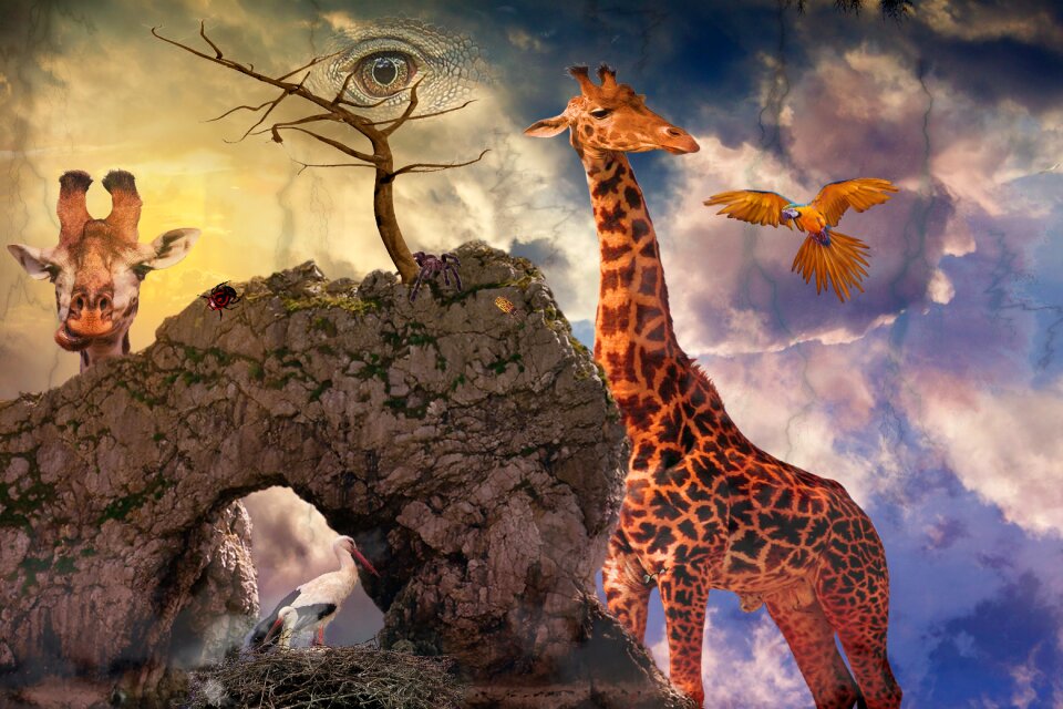 Photomontage fairytale surreal