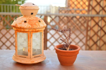 Farolito cactus terrace