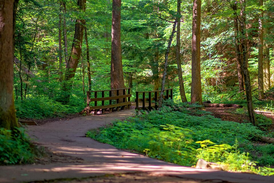 Landscape trail outdoors