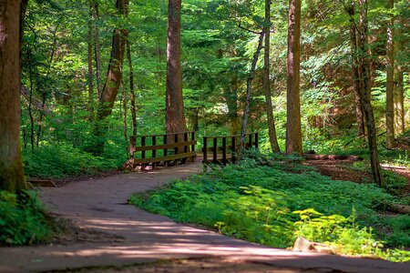 Landscape trail outdoors photo