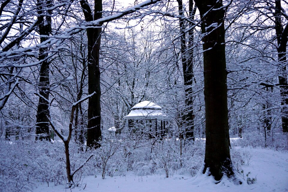Outdoor skåne christmas