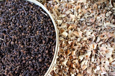 Seeds carnation spices