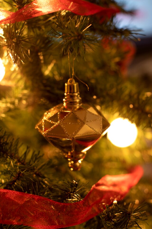 Holiday holiday lights