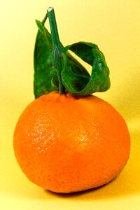 Healthy food vitamins