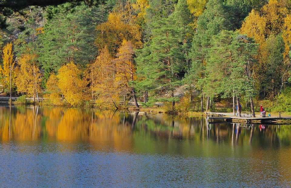 Water autumn fall photo