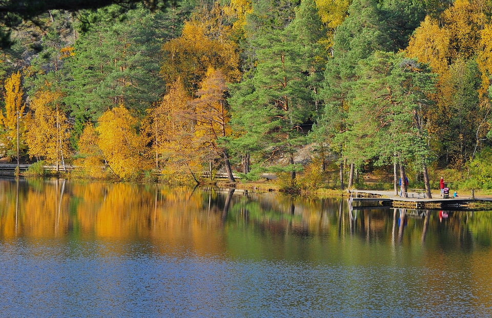 Water autumn fall
