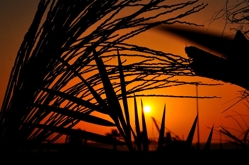 Beautiful sunset landscape sun
