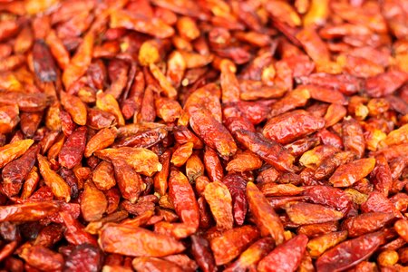 Hot red sudan pepper
