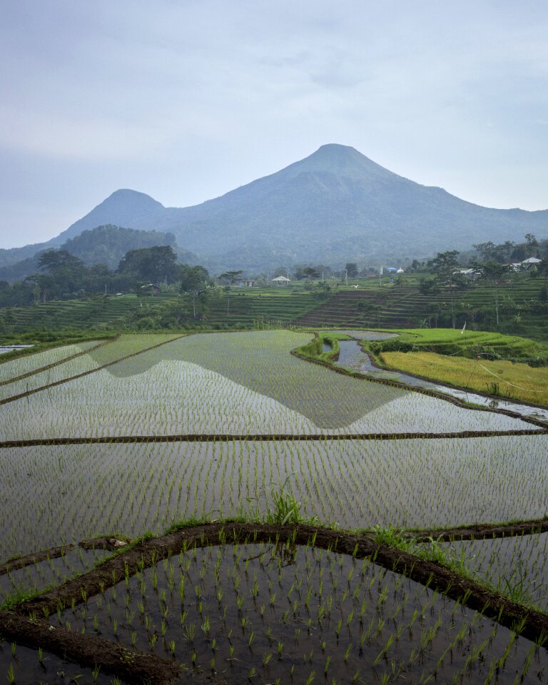 Travel nature land
