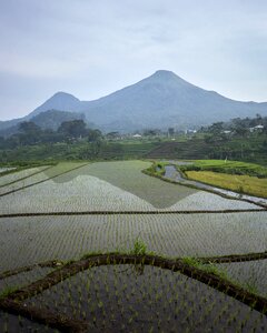 Travel nature land