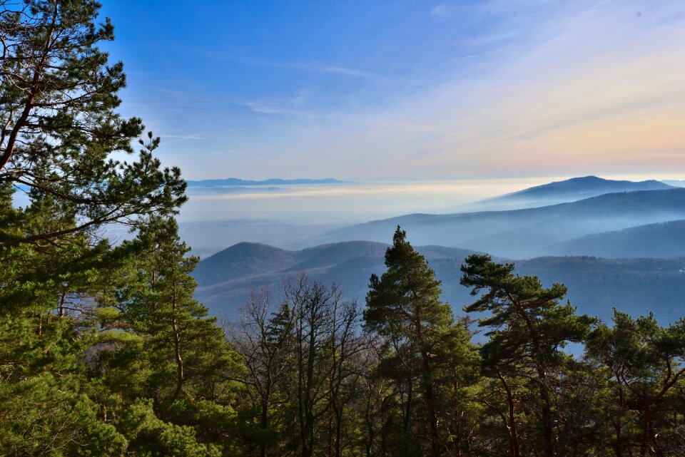 Fog nature clouds