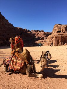 Sand camels adventure photo
