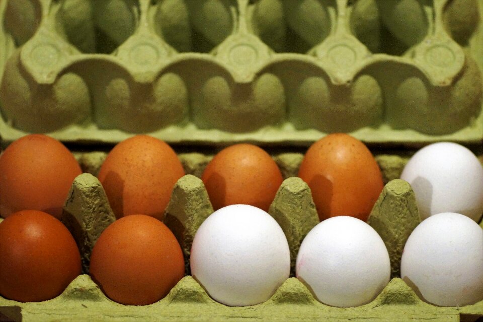 Chicken raw series