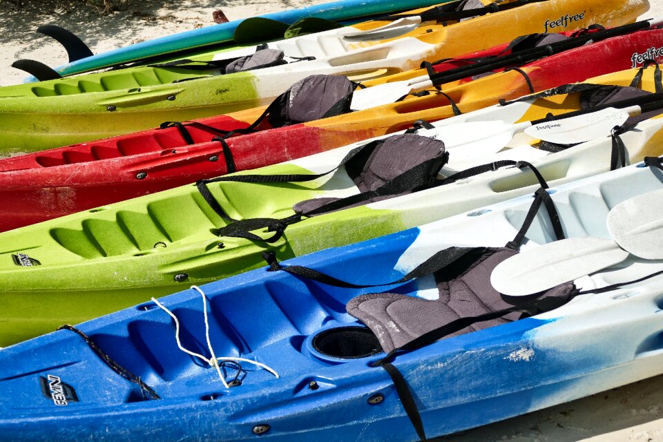 Colorful rowing leisure