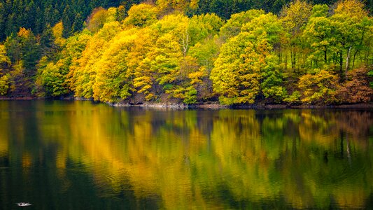 Water reflection yellow photo