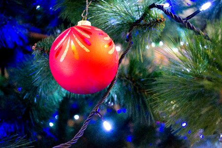 Ornament background spruce