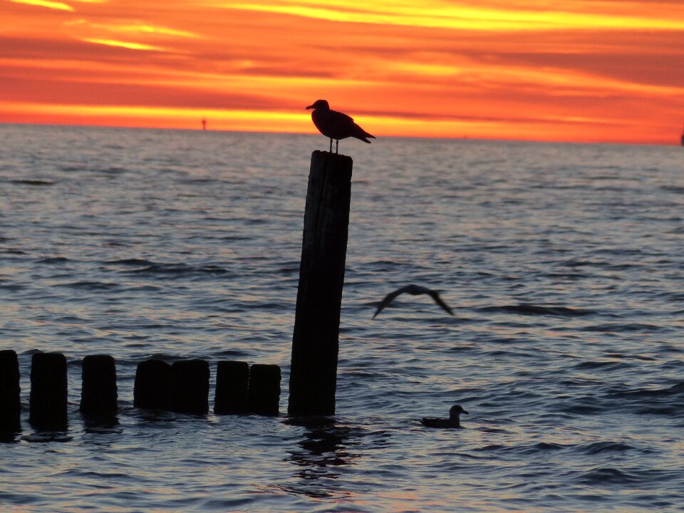 Sunset abendstimmung gull