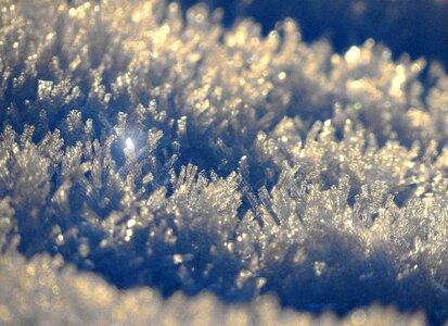 Cold ice frost photo